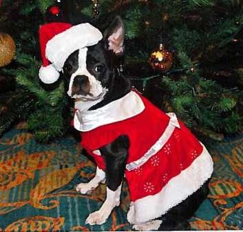 Bridget Snowflake Santa's Helper